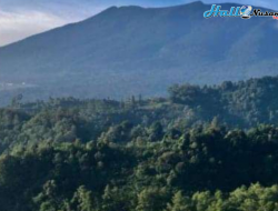 Warga Sukabumi Heran Dan Cemas Ada Getaran Disertai Gemuruh Menyeruak Dalam Tanah