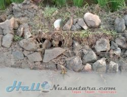 Diduga Proyek Siluman Gentayangan di Kecamatan Kedung Waringin, Warga: Potensi Tak Sesuai RAB