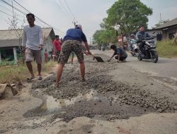Mengambil Momen Dan Semangat Kemerdekaan Pemuda Babelan Giat Perbaiki Jalan