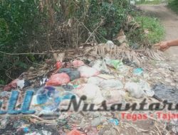 Warga Resah, Sampah Menumpuk Timbulkan Bau Busuk Menyengat