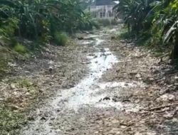 Dampak Pencemaran Lingkungan Hidup, 500 Ha Sawah Kab Bekasi Terancam Gagal Panen