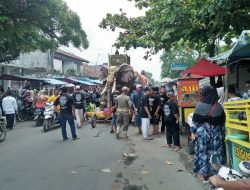 Karnaval Kesenian Singa Depok Dan Khitanan Massal Meriahkan Acara Muludan Tahunan