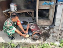Dikira Meninggal, Pria Paruh Baya Di Temukan Tergeletak Oleh Babinsa Koramil 09 Cibarusah