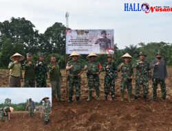 Dandim 0412/LU Tanam Kembali Jagung Bisi Hibrida Dengan Memanfaatkan Lahan Tadah Hujan