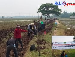 Pemerintah Desa Sukamaju Melaksanakan Program Padat Karya Tunai Desa