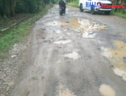 Kurangnya Perhatian Pemerintah, Kondisi Jalan Penghubung Antar Tiga Desa Di Lampung Timur Memprihatinkan