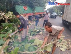 Polisi Bersama Warga Evakuasi Pohon Tumbang Di Jalinsum