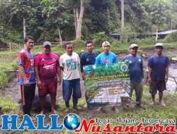 Panen Ikan Yang Dikelola Poktan Subur Makmur Program Ketahanan Pangan, Hasilnya Belum Memuaskan