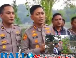 Satresnarkoba Polres Garut Temukan 167 Pohon Ganja Di Kawasan Wisata Situ Cangkuang