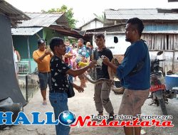Mengejutkan, Ular Sanca Berukuran Besar Ditemukan Warga Cikarang di Dalam Lapak