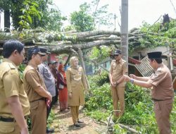 Tanggulangi Dampak Puting Beliung Bojong, Pemkab Purwakarta Lakukan Mitigasi Bencana