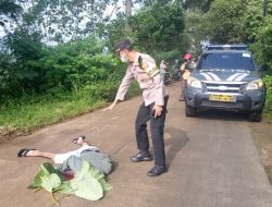 Seorang Pria Tanpa Identitas Ditemukan Tewas Di Tengah Jalan Raya, Diduga Menjadi Korban Tabrak Lari