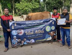 Yayasan Indonesia Satu Salurkan 3 Ekor Sapi Dan 6 Ekor Domba Pada Idul Adha Tahun Ini