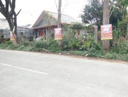 Maraknya Iklan Yang Tidak Berijin Menempel dipohon Pohon Pinggir Jalan Protokol