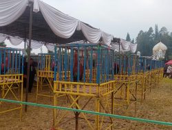 Kontes Jenjang Ayam Pelung Tingkat Provinsi Suara Alam Cup Ke XIX DPD HIPAPI Kabupaten Cianjur