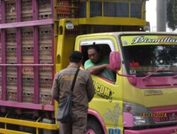 Karantina Cilegon Gelar Operasi Patuh Karantina Lini 1 Di Kawasan Pelabuhan Penyeberangan Merak