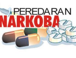 Maraknya Peredaran Obat-Obatan Terlarang di Wilayah Karawang, Kasat Narkoba : Kami Akan Berantas Semua