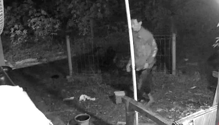 Ayam dan Bebek Raib Massal dalam Semalam, Warga Karangtengah Cianjur Curiga Ada Sindikat Pencuri Unggas