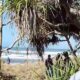 Pria Ditemukan Meninggal di Pesisir Pantai Cikakap, Polisi Pastikan Tidak Ada Unsur Pidana