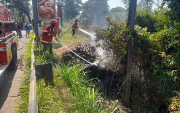 Lahan Dipenuhi Sampah di Jalur Puncak Cianjur Terbakar, Diduga Berawal dari Pembakaran Sampah Liar
