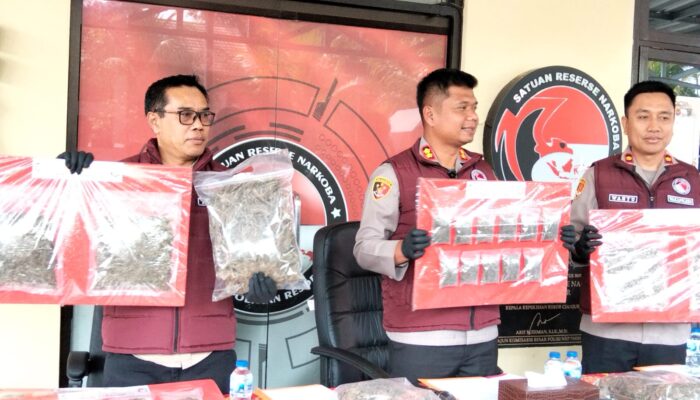 Polres Cianjur Sita 14,8 Kilogram Ganja, Dua Tersangka Ditangkap dan Dua Lainnya Masih Diburu