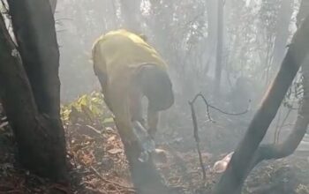 Kebakaran di Sekitar Kawah Wadon TNGGP Belum Sepenuhnya Terkendali, Dua Titik Asap Ditemukan