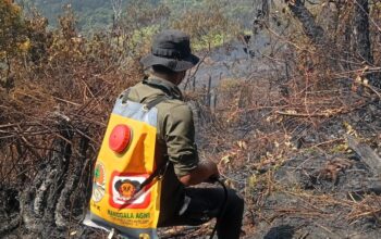 Kebakaran Gunung Gede Terkendali, Relawan Koreksi Luasan Area Terdampak