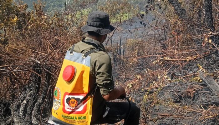 Kebakaran Gunung Gede Terkendali, Relawan Koreksi Luasan Area Terdampak