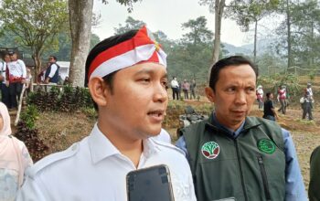 Kebakaran Kawah Wadon, Cianjur Siapkan 11.000 Bibit untuk Pemulihan Hutan