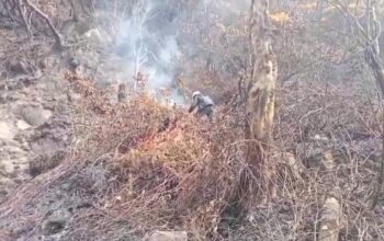 Asap Masih Muncul di Kawah Wadon, Tim Temukan Bara Tersembunyi di Akar Cantigi