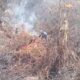 Asap Masih Muncul di Kawah Wadon, Tim Temukan Bara Tersembunyi di Akar Cantigi