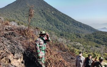 Tujuh Kepulan Asap Muncul di Kawah Wadon, Tim Gabungan Perkuat Pemantauan