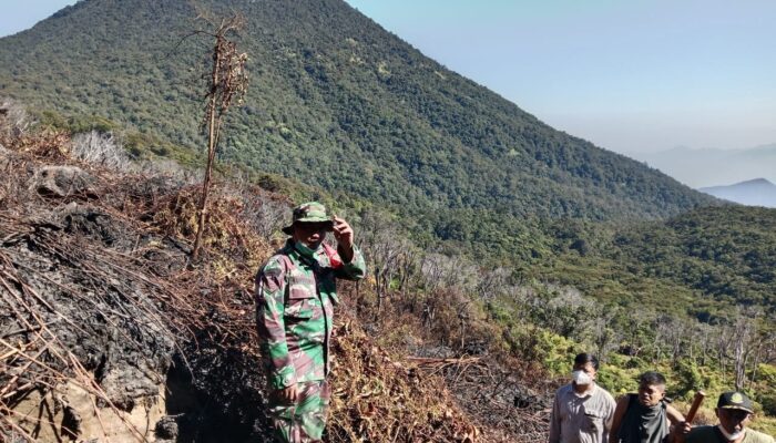 Tujuh Kepulan Asap Muncul di Kawah Wadon, Tim Gabungan Perkuat Pemantauan