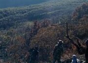 Titik Panas Kawah Wadon Diduga Berkaitan dengan Aktivitas Kawah, Ahli Geologi ITB Minta Pemeriksaan Gas