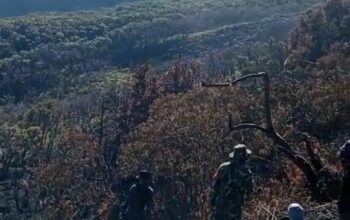 Titik Panas Kawah Wadon Diduga Berkaitan dengan Aktivitas Kawah, Ahli Geologi ITB Minta Pemeriksaan Gas