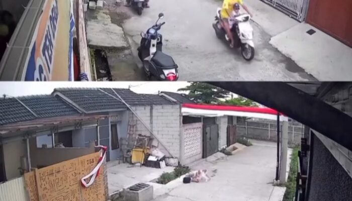 Viral Video Bocah 8 Tahun Diserang Pitbull di Bandung, Berhasil Selamat Usai Ditolong Warga