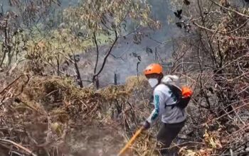 Api di Kawah Wadon Mulai Terkendali, Petugas Masih Pantau Titik Bara