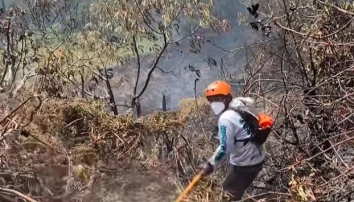 Api di Kawah Wadon Mulai Terkendali, Petugas Masih Pantau Titik Bara