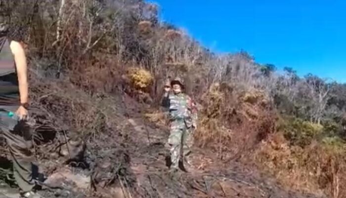 Ahli Geologi ITB: Kebakaran Kawah Wadon Perlu Diwaspadai karena Bisa Picu Erosi dan Longsor