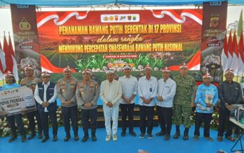 Polri dan Pemerintah Perluas Tanam Bawang Putih, Target Swasembada Dipercepat