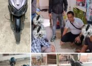 Kurang dari 24 Jam Polsek Cikarang Pusat, Ringkus Pelaku Pengeroyokan dan Dugaan Pemerasan