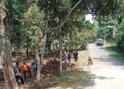 Puncak Simun Disorot, Hutan Jangan Berubah Fungsi