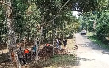 Puncak Simun Disorot, Hutan Jangan Berubah Fungsi