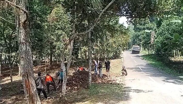 Puncak Simun Disorot, Hutan Jangan Berubah Fungsi