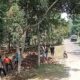 Puncak Simun Disorot, Hutan Jangan Berubah Fungsi