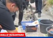 Gerebek Kampung Ambon dan Boncos, Tim Gabungan Polri Amankan 24 Terduga Pelaku Narkoba