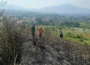 Kebakaran Hanguskan 1,1 Hektare Lahan Gunung Kasur Cianjur