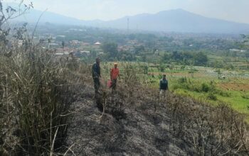 Kebakaran Hanguskan 1,1 Hektare Lahan Gunung Kasur Cianjur