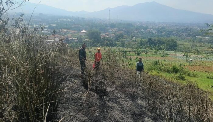 Kebakaran Hanguskan 1,1 Hektare Lahan Gunung Kasur Cianjur