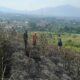 Kebakaran Hanguskan 1,1 Hektare Lahan Gunung Kasur Cianjur